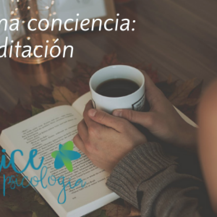 Tomar conciencia: meditación en Alcalá de Henares