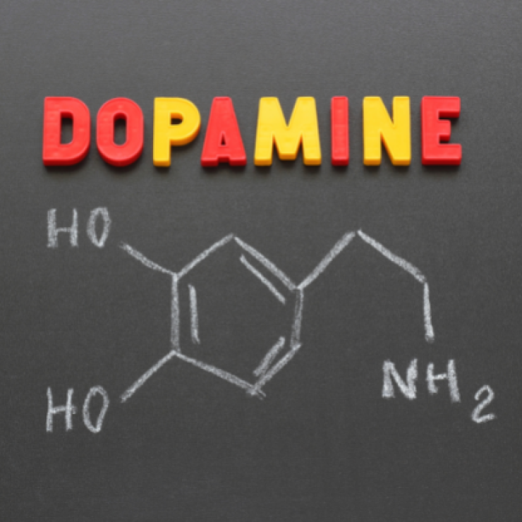 dopamina y salud mental
